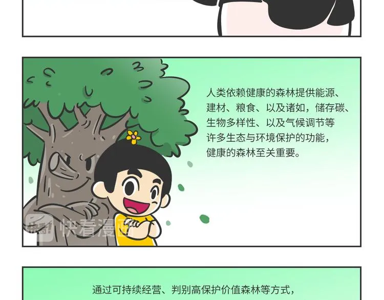 熊猫君解说四人对决漫画,科普番外——健康的森林3图