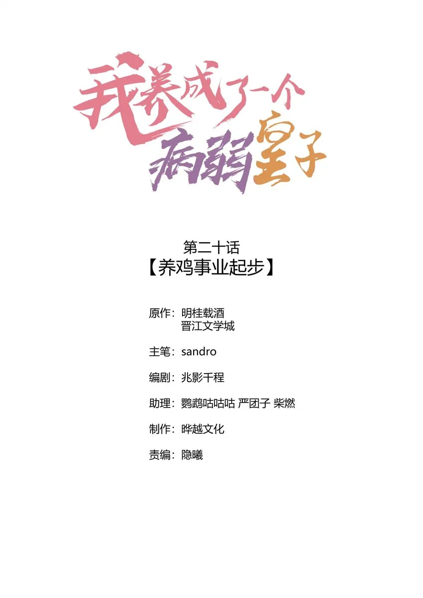 020 养鸡事业起步0