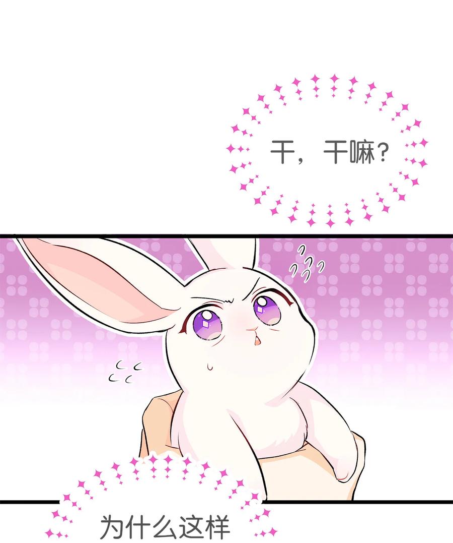 09 放开我的兔子2