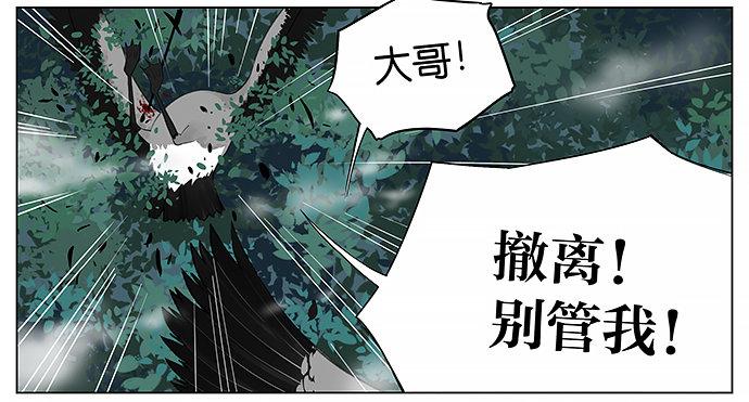 黑雁。3