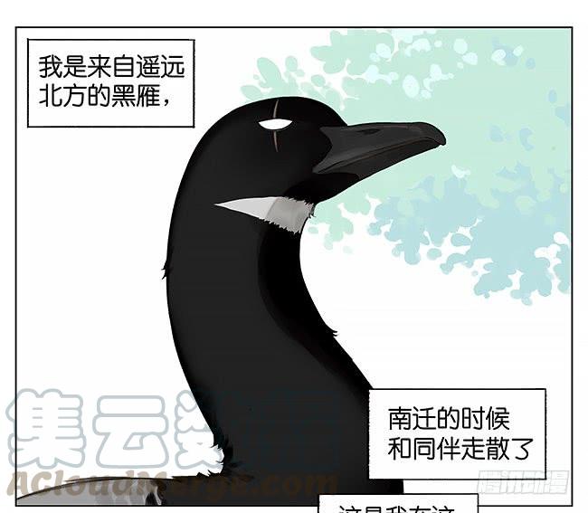 下雪了。0