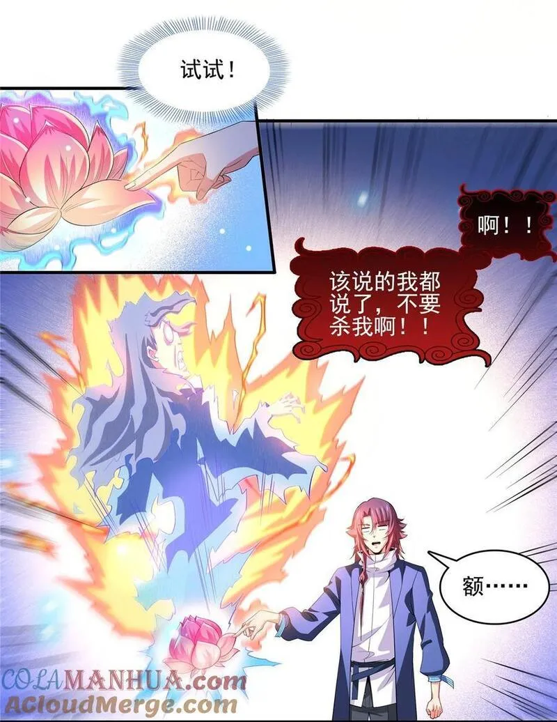 291 赵飞舞的真正身份4