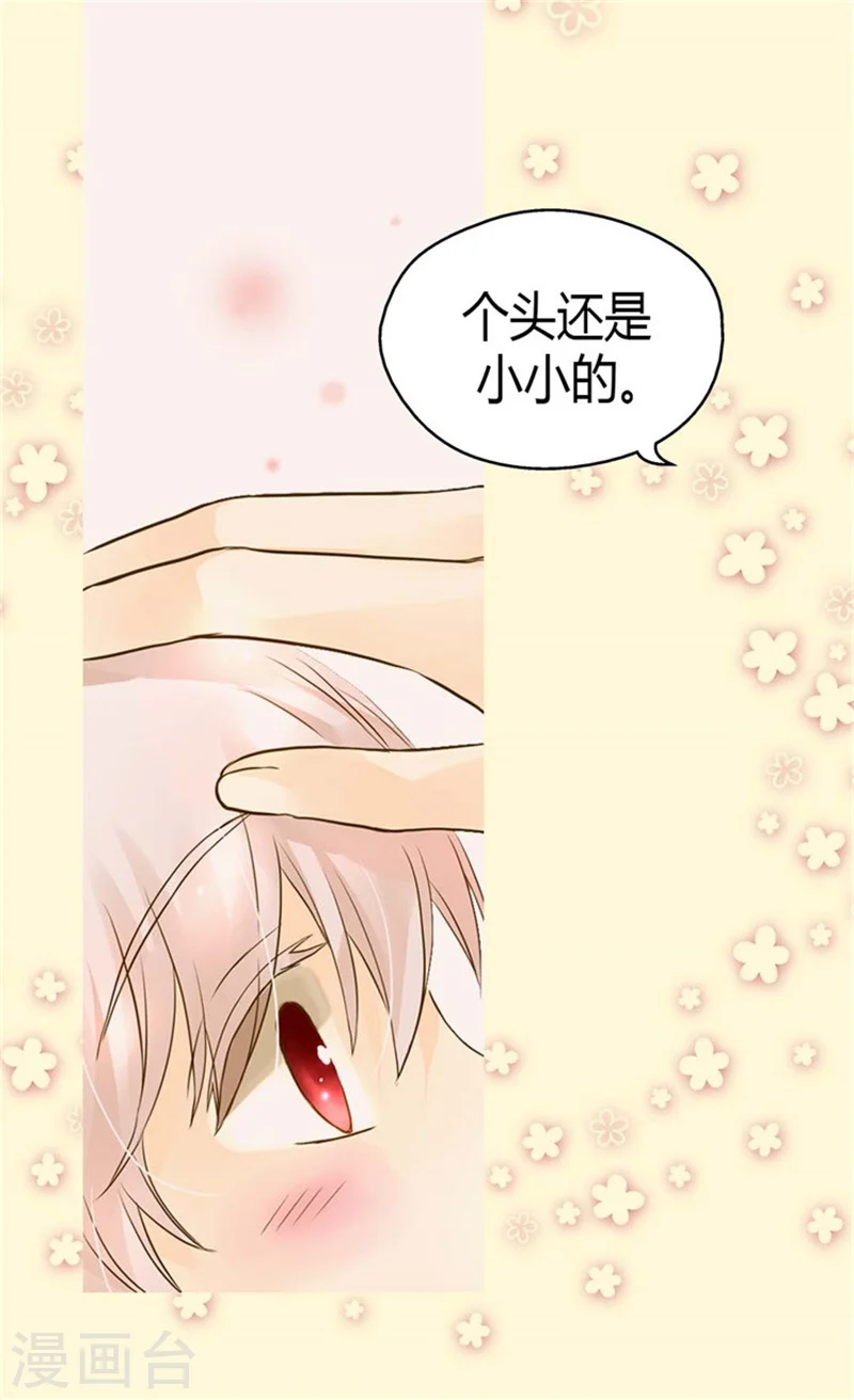 皇帝的独生女完整版漫画,第95话 再次遇到阿西西2图