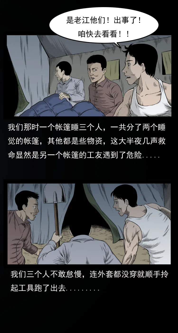 10 青藏铁路怪物事件4