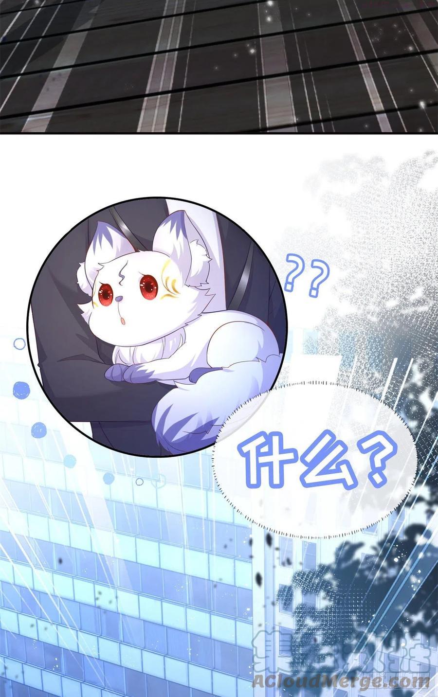 预告4