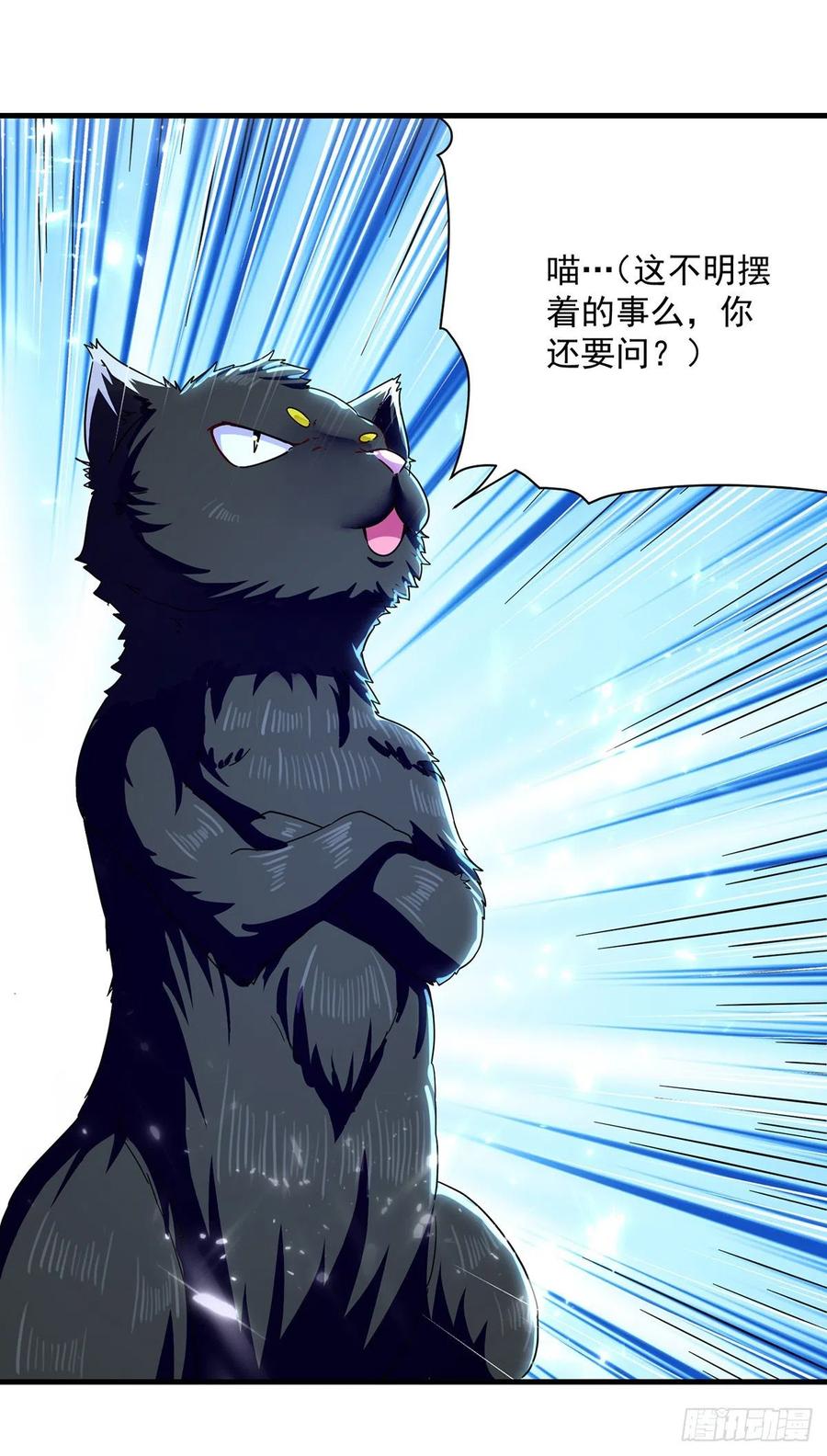 第149话 收服小猫咪1
