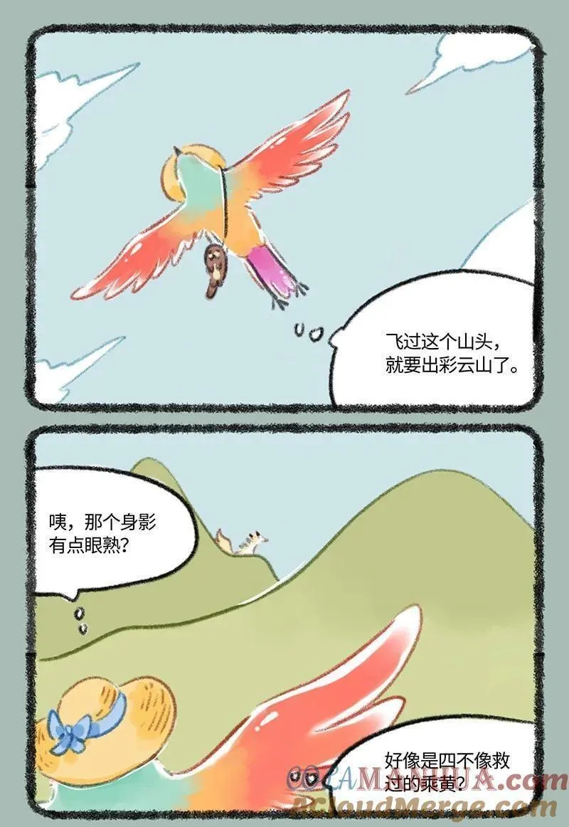 806 治愈花椒0