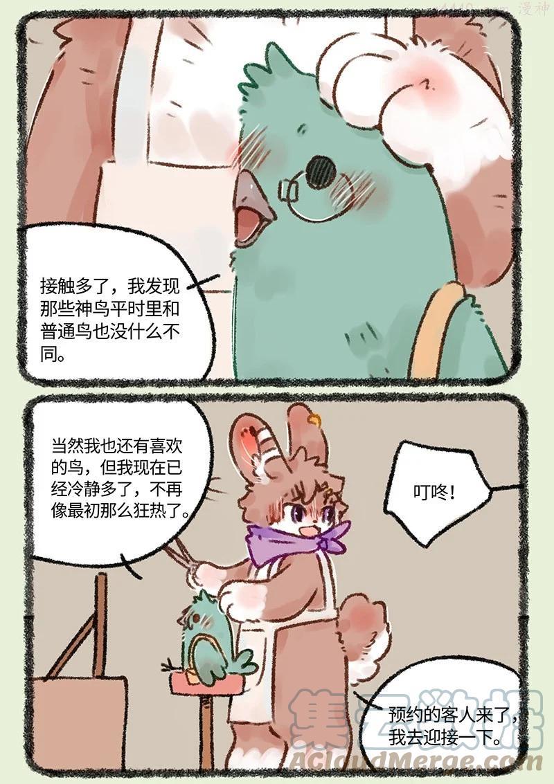 551 心如止水比翼鸟4