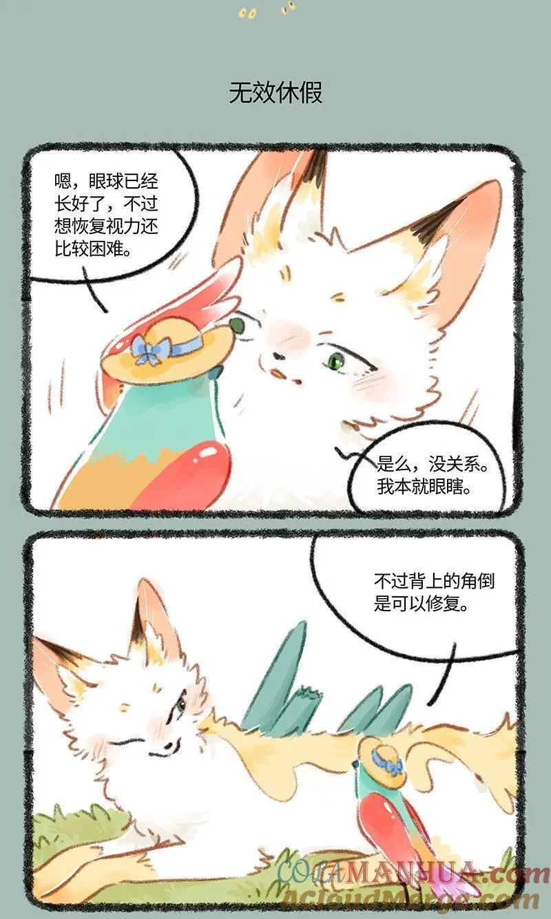 806 治愈花椒3
