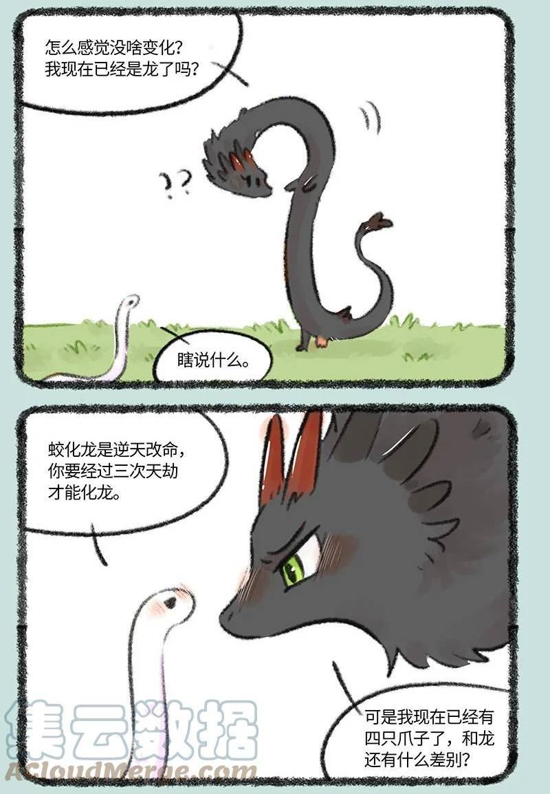 712 第四只脚4