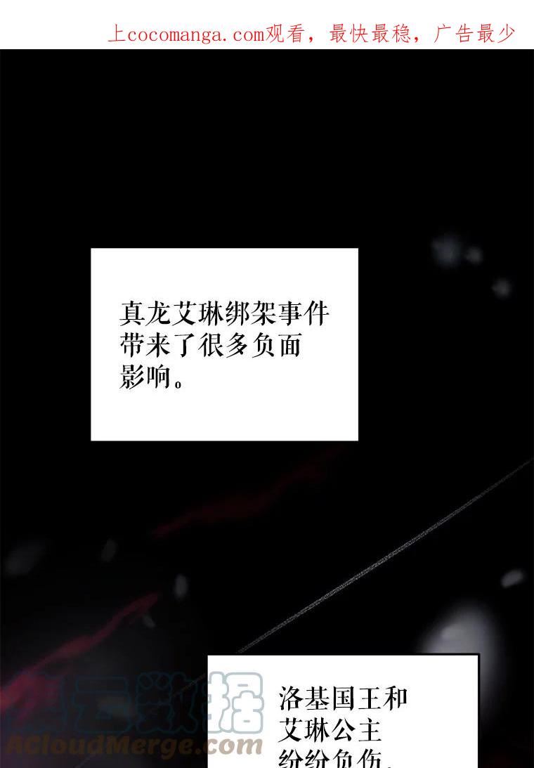 龙宝宝漫画,64.另一条龙1图