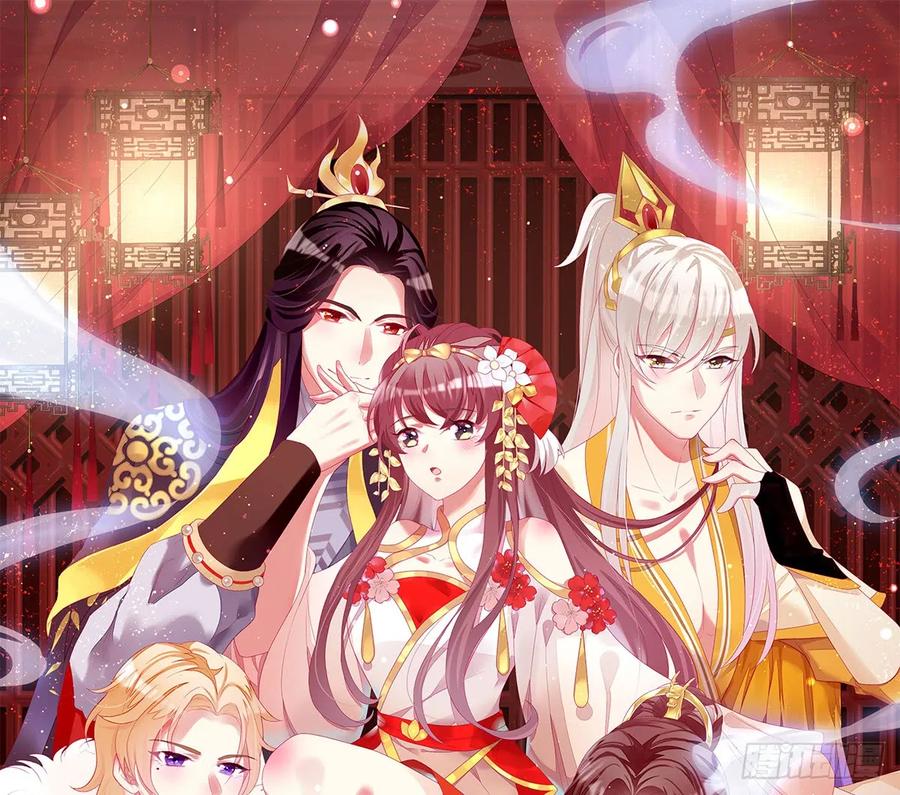 她不会输！0