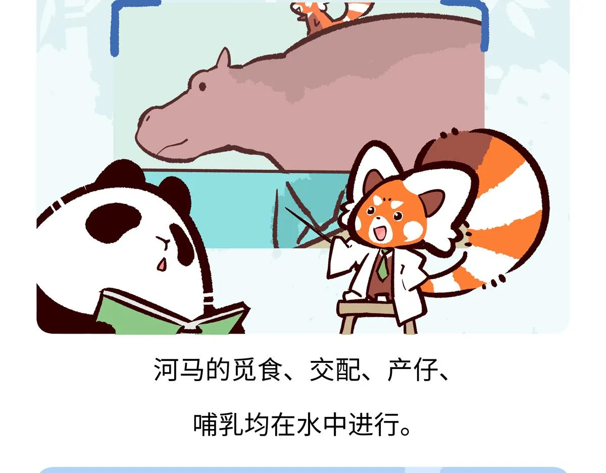 第242话2