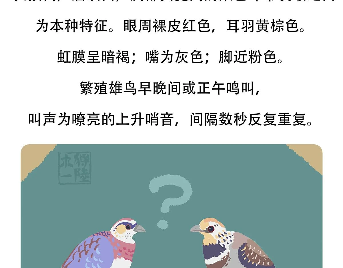 第146话3