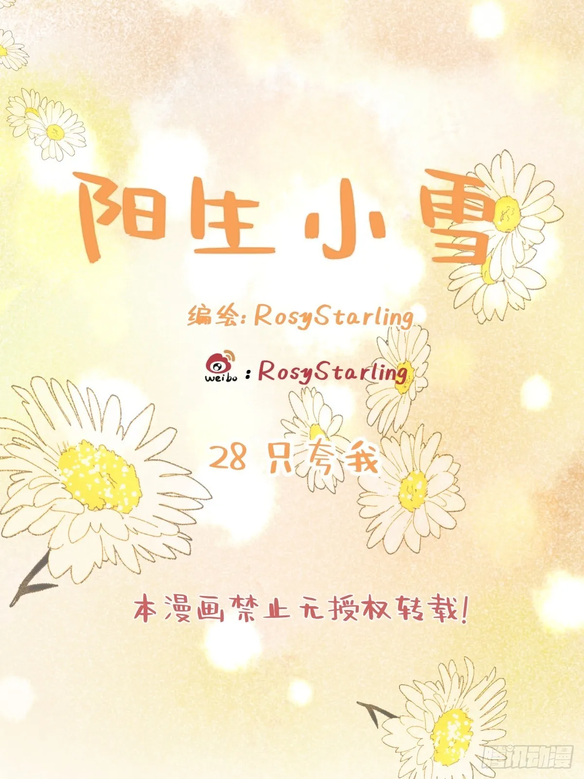 28 只夸我0