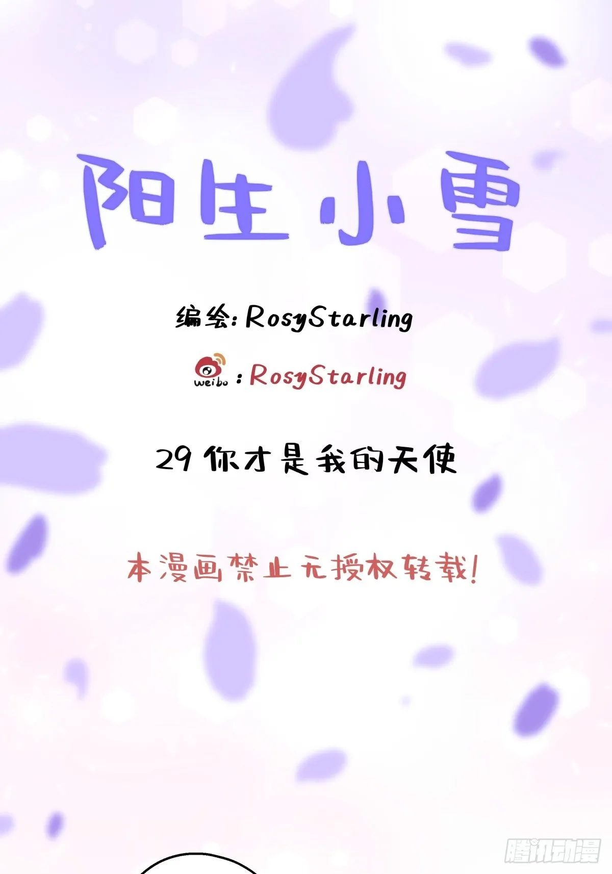 29 你才是我的天使0