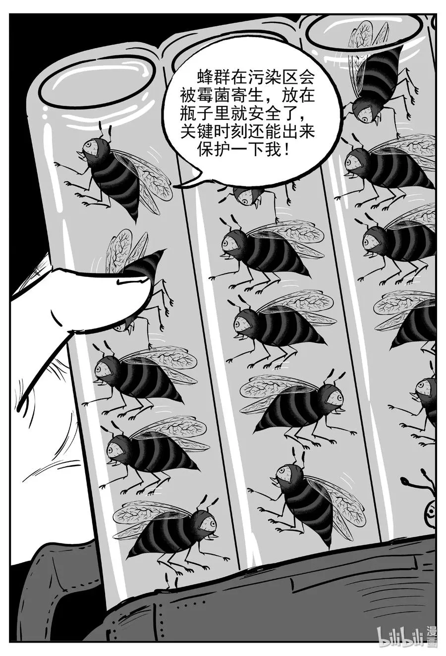 482 它74