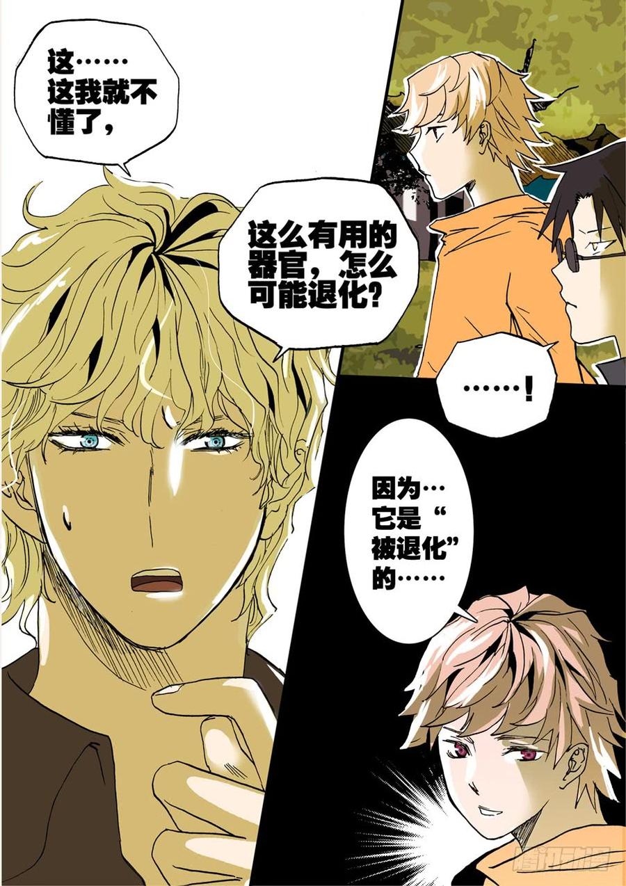 不轮之轮免费漫画漫画,019为害一方2图