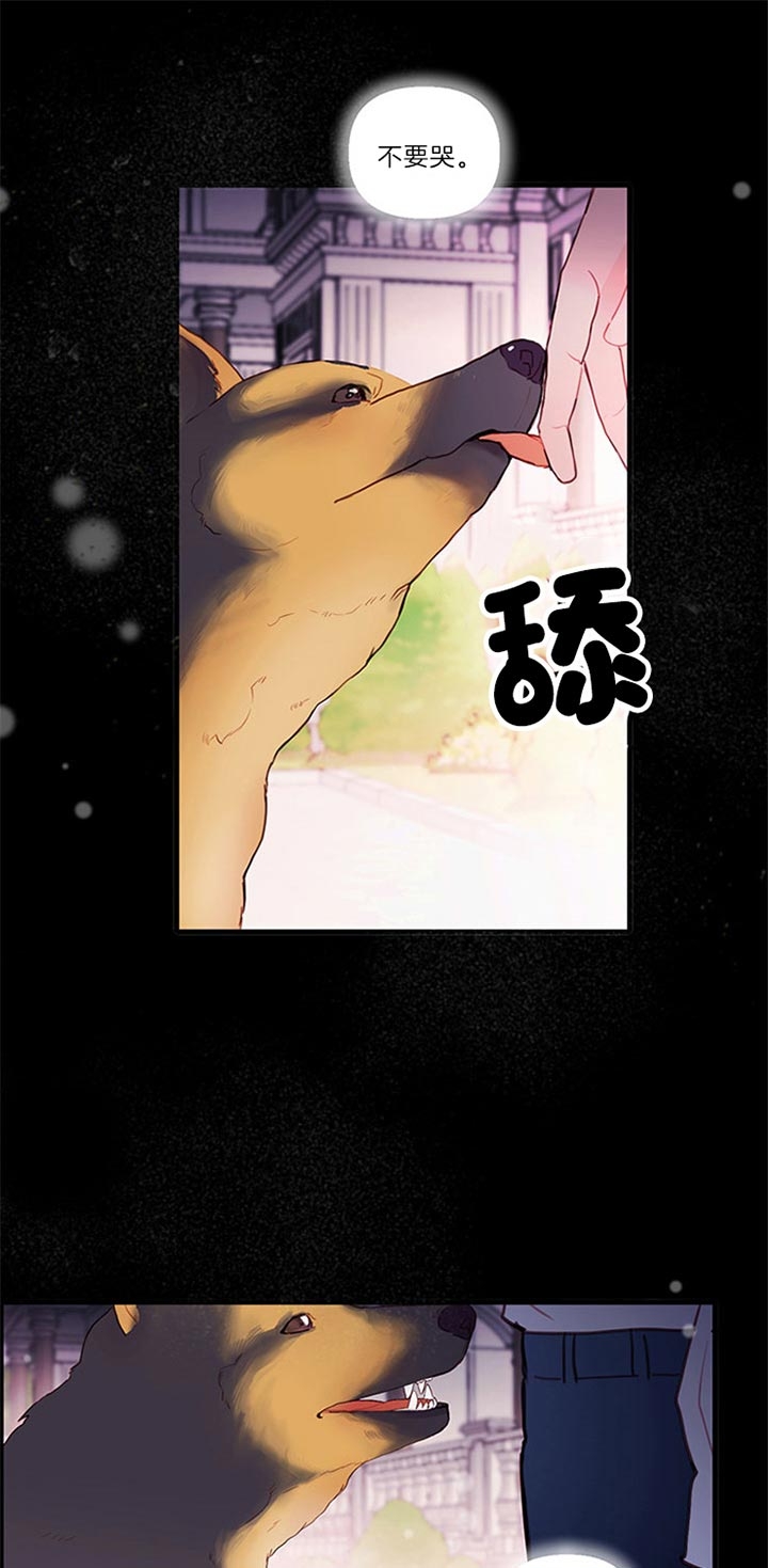 恶魔之舞电视剧完整版漫画,第70话1图