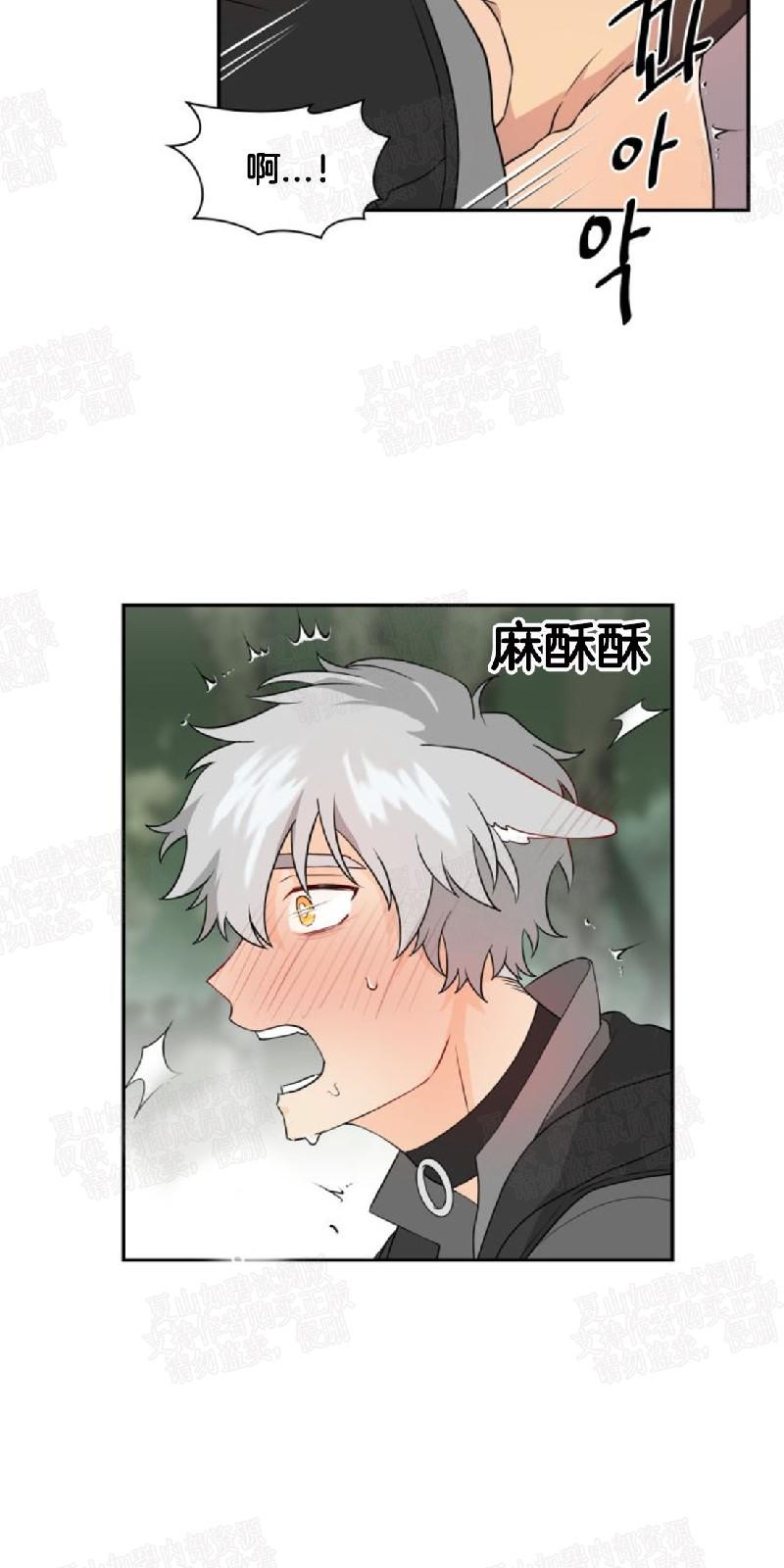 动物王国图片大全大图漫画,第7话4图