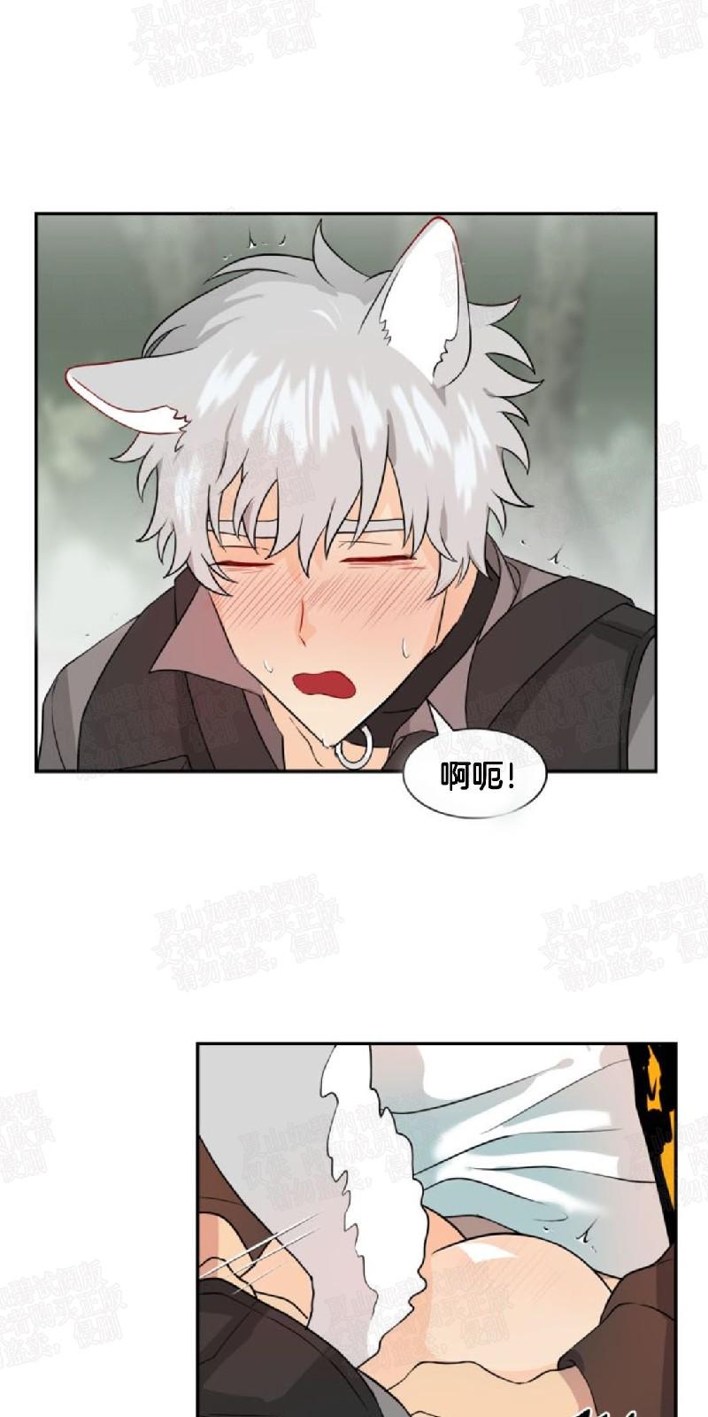 动物王国图片大全大图漫画,第7话3图
