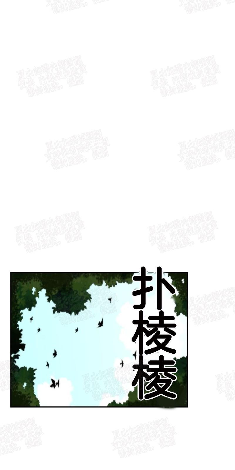 动物王国开大会作文300小学三年级漫画,第5话5图