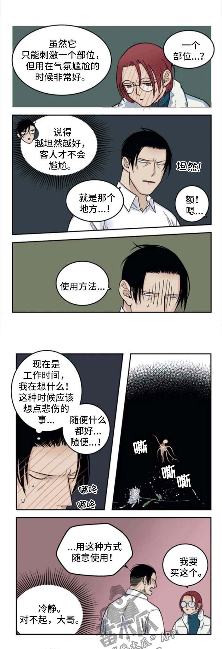 老大的幸福小王被开除漫画,第32章：介绍商品3图
