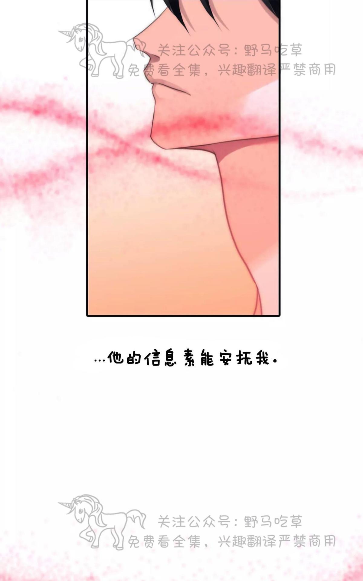 第24话3