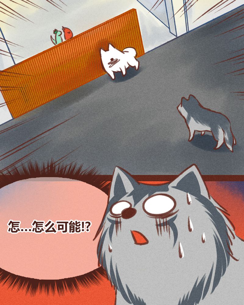 神兽归笼漫画,第20章：1图
