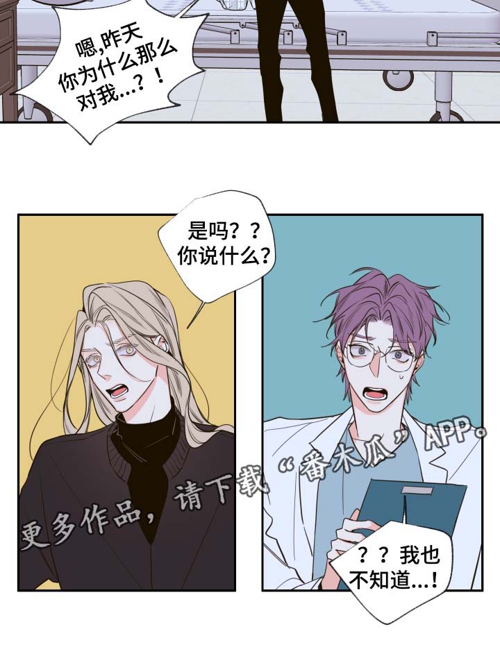 第48章：一模一样的人1