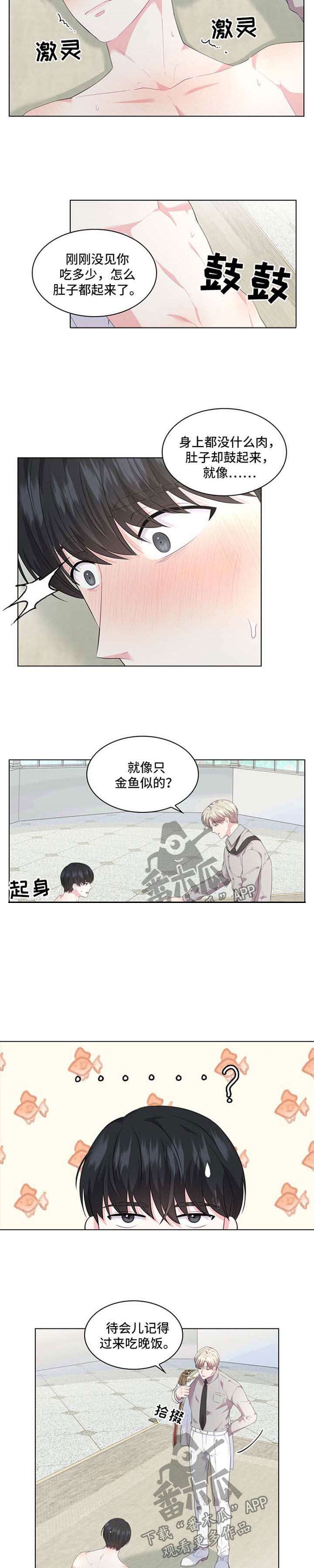 皇室血脉小说免费阅读漫画,第28章：金鱼似的2图
