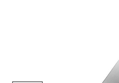 墓志铭精选碑帖漫画,第55话1图