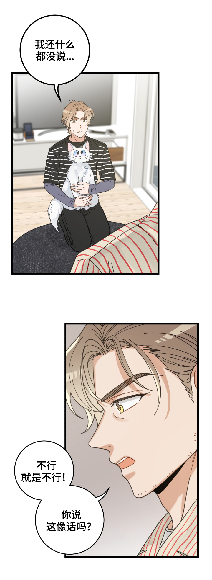亲爱的喵君漫画里的黑色盒子叫什么漫画,第59章：不同意3图