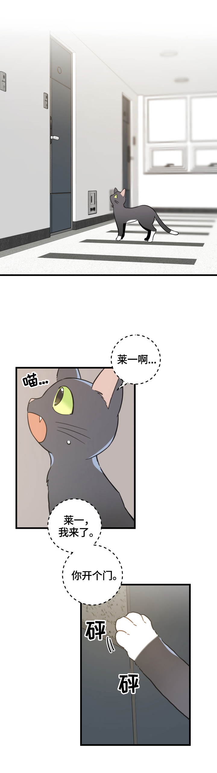 亲爱的喵君漫画里的黑色盒子叫什么漫画,第70章：安慰4图