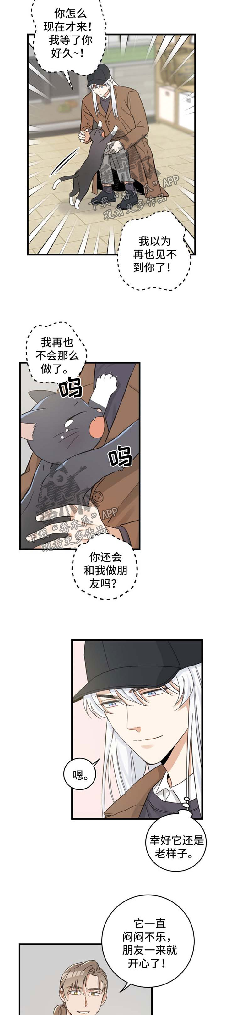 亲爱的喵君漫画,第77章：串门4图