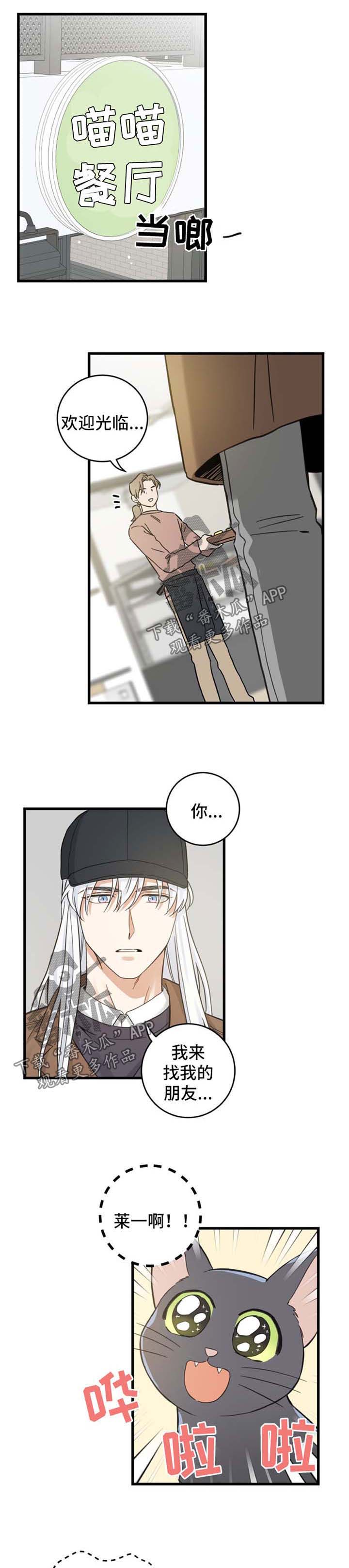 亲爱的喵君漫画,第77章：串门3图