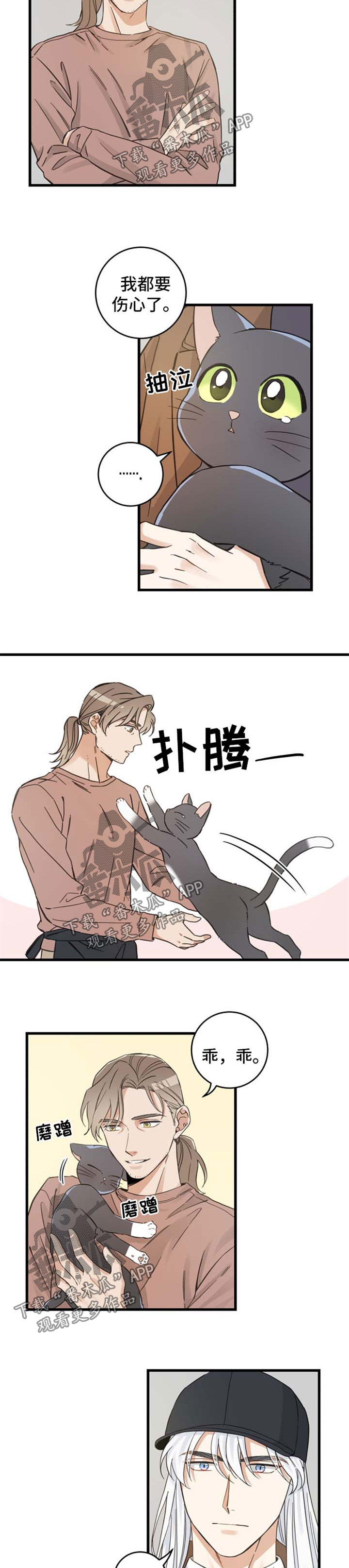 亲爱的喵君漫画,第77章：串门5图
