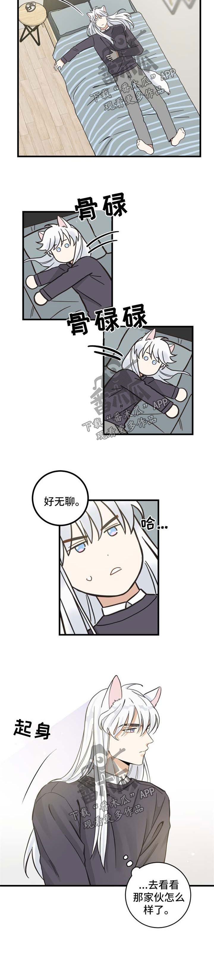 亲爱的喵君漫画,第77章：串门2图