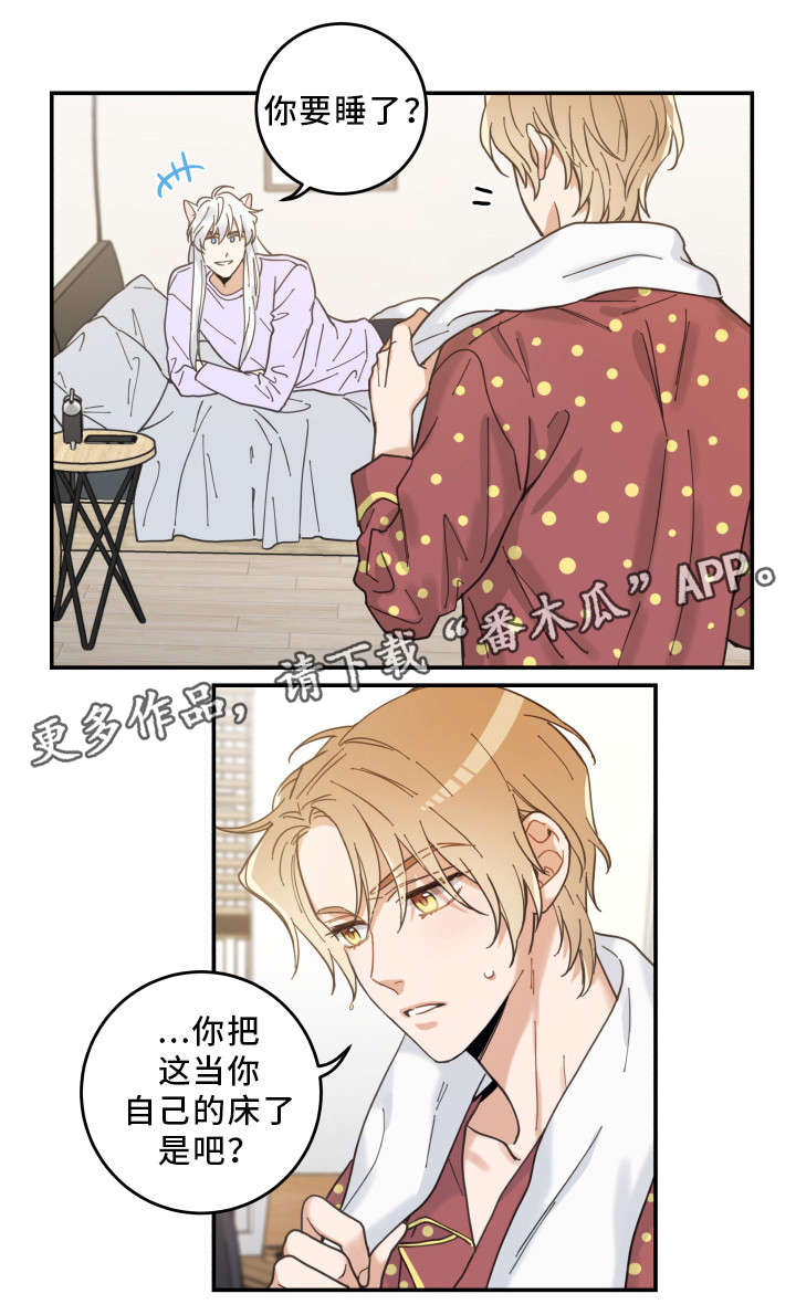 亲爱的喵君漫画,第12章：无事发生3图