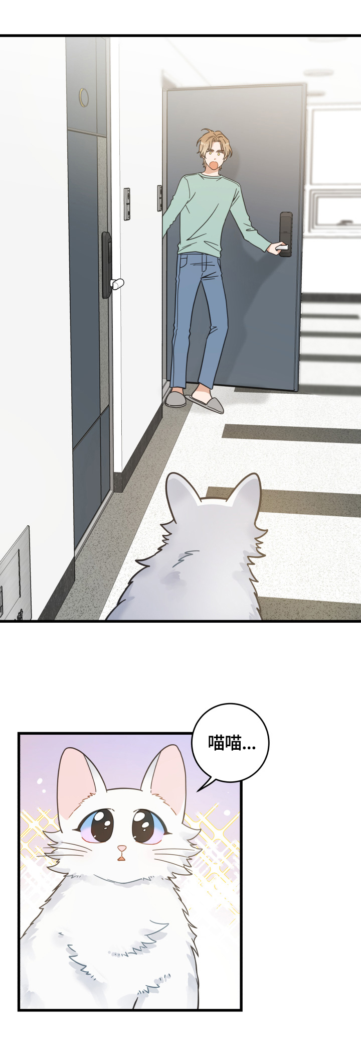 亲爱的喵君漫画里的黑色盒子叫什么漫画,第65章：忍不了2图