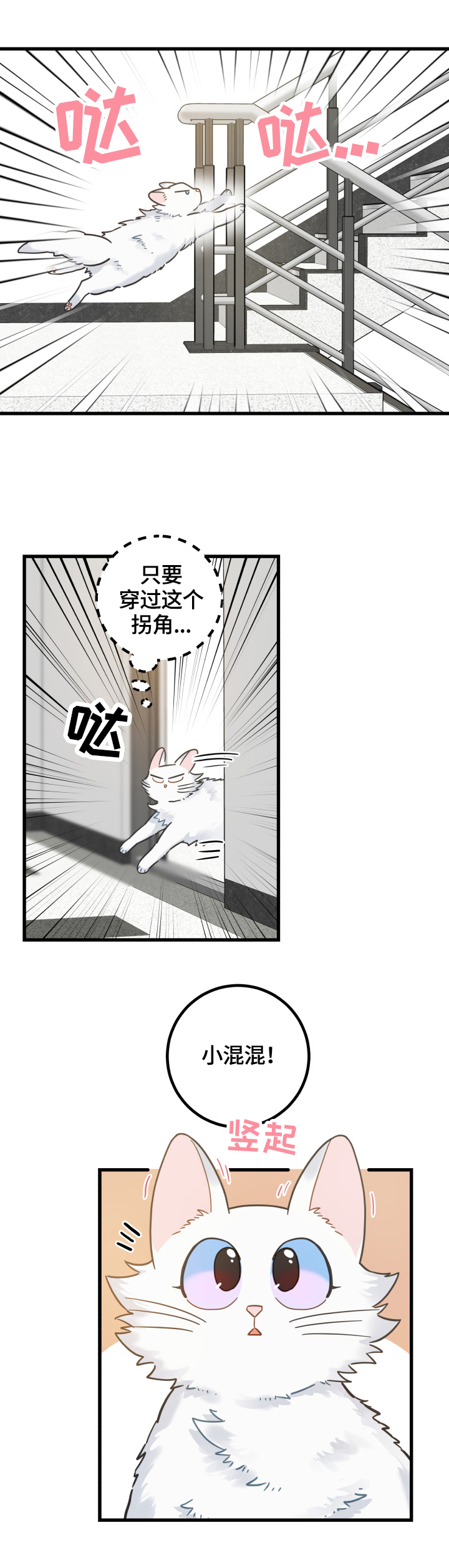 亲爱的喵君漫画里的黑色盒子叫什么漫画,第65章：忍不了1图