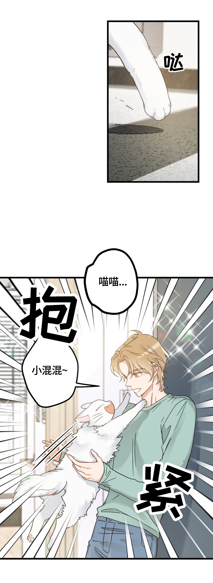 亲爱的喵君漫画里的黑色盒子叫什么漫画,第65章：忍不了3图