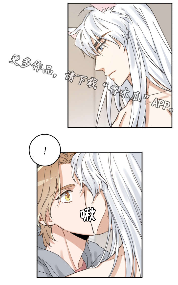 亲爱的喵君漫画里的黑色盒子叫什么漫画,第20章：感觉好吗4图