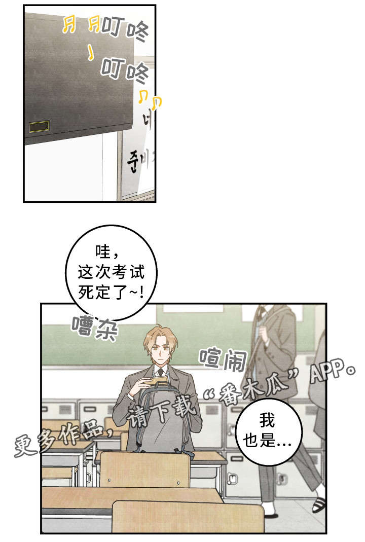亲爱的喵君漫画里的黑色盒子叫什么漫画,第16章：白猫莱一5图