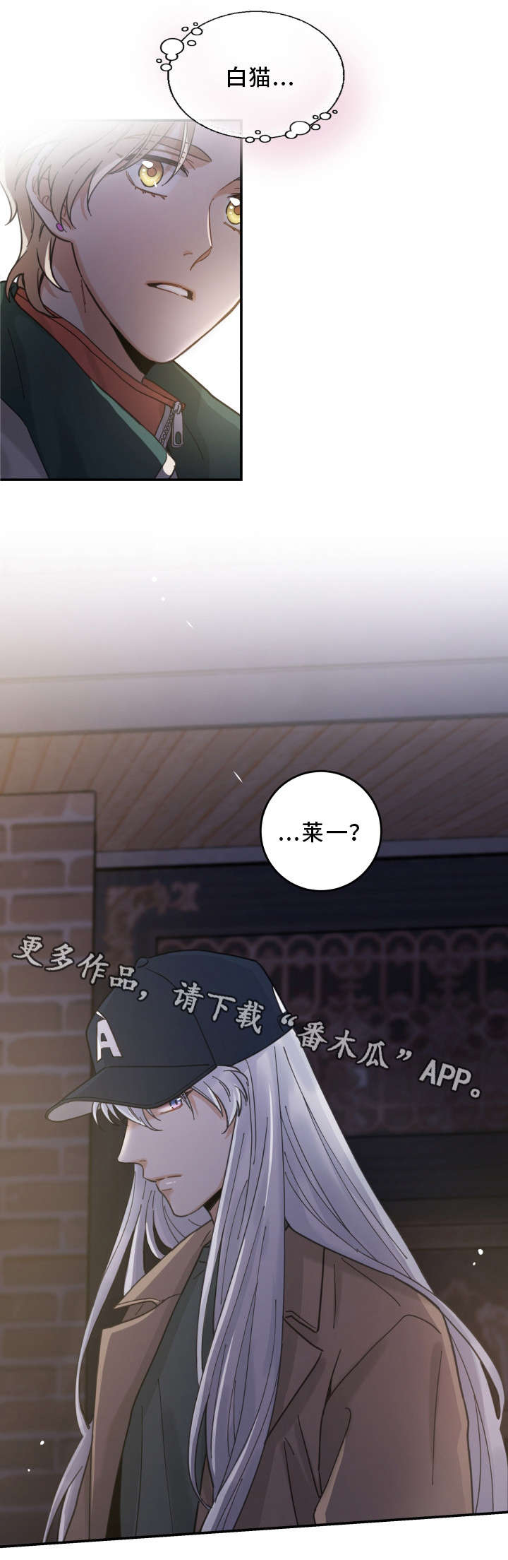 亲爱的喵君漫画里的黑色盒子叫什么漫画,第16章：白猫莱一3图