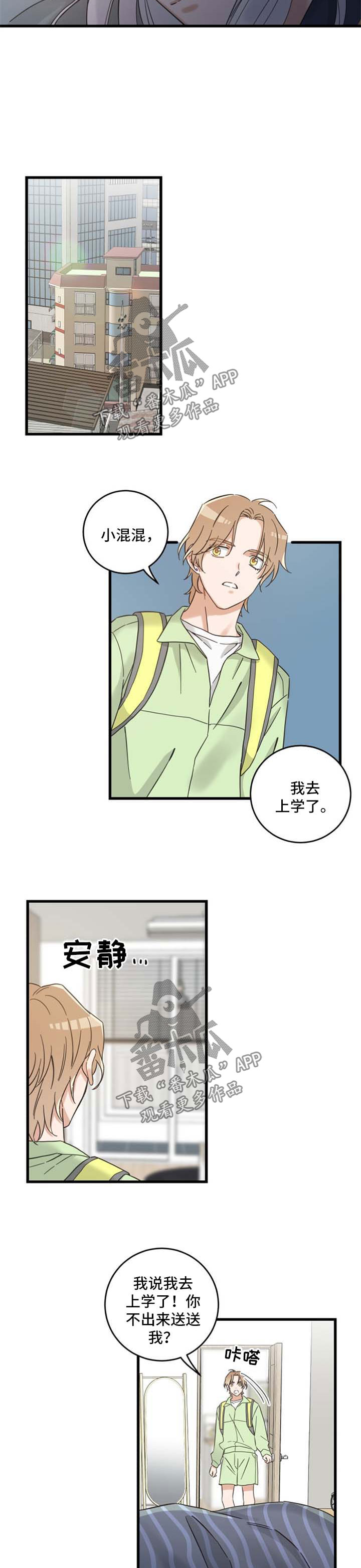 亲爱的喵君漫画里的黑色盒子叫什么漫画,第93章：闹别扭3图