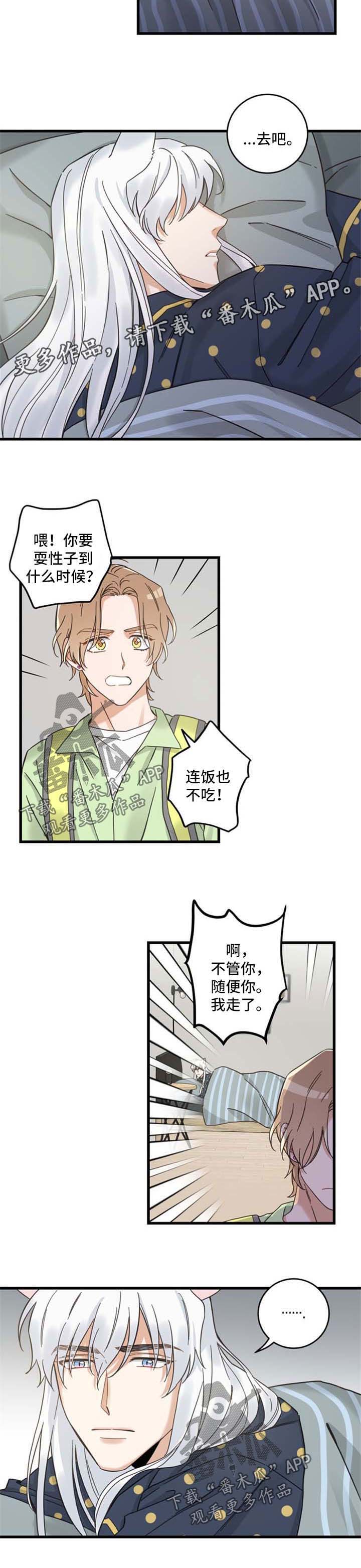 亲爱的喵君漫画里的黑色盒子叫什么漫画,第93章：闹别扭4图
