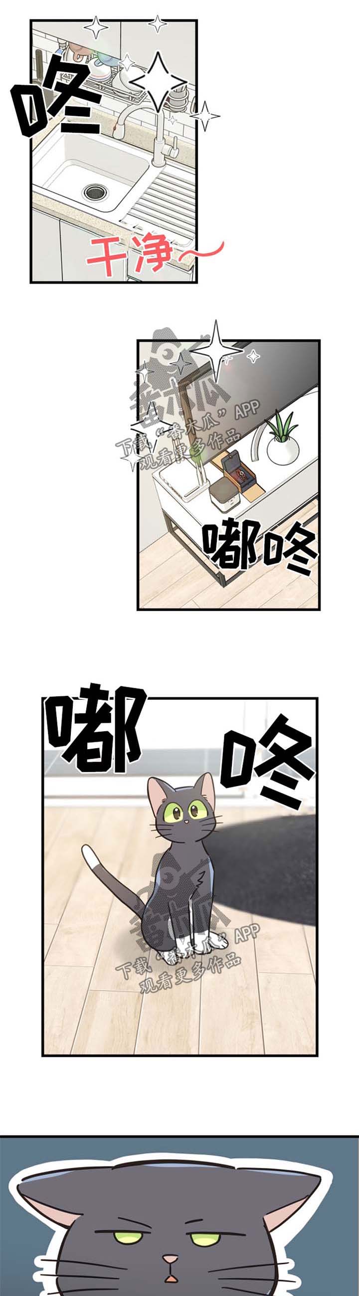 亲爱的喵君漫画,第79章：做客1图