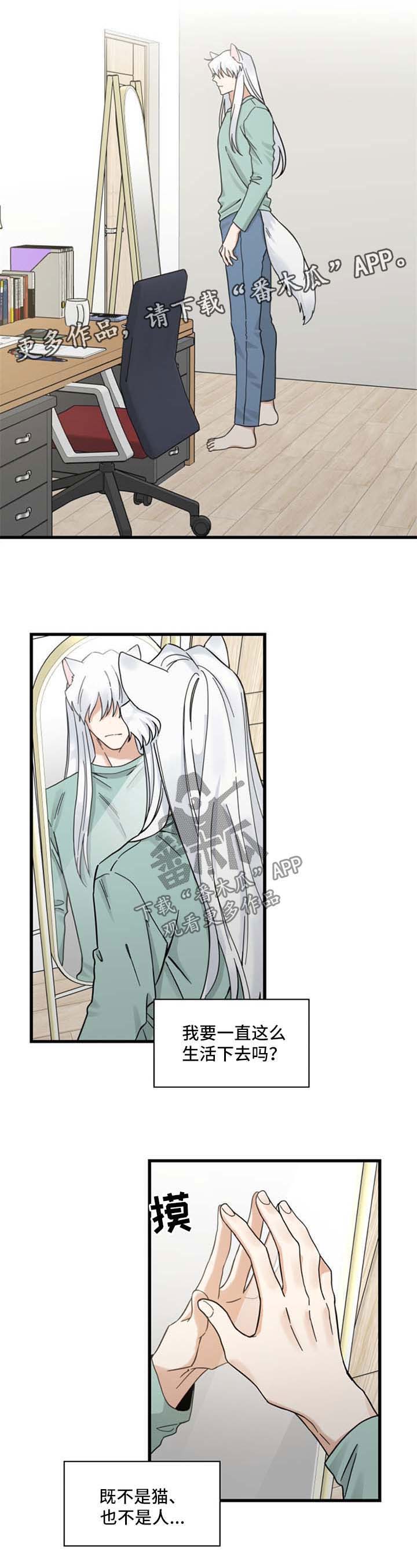 亲爱的喵君漫画,第91章：忧愁4图