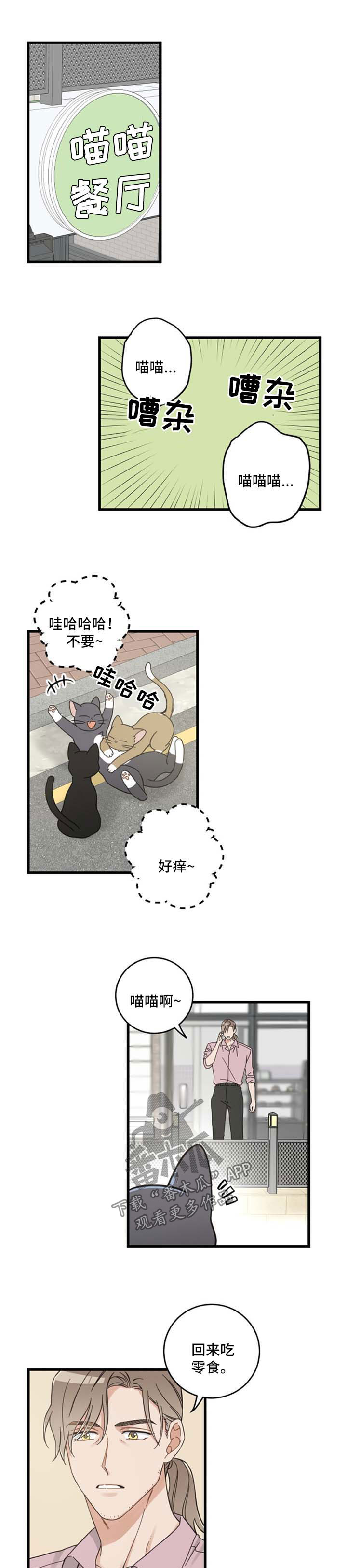亲爱的喵君漫画,第91章：忧愁5图